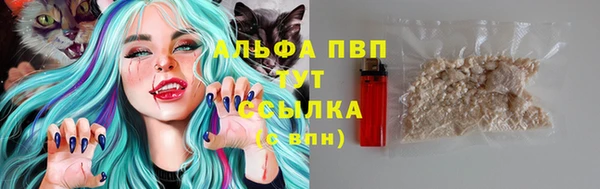хмурый Богданович