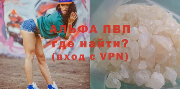 СК Богородицк